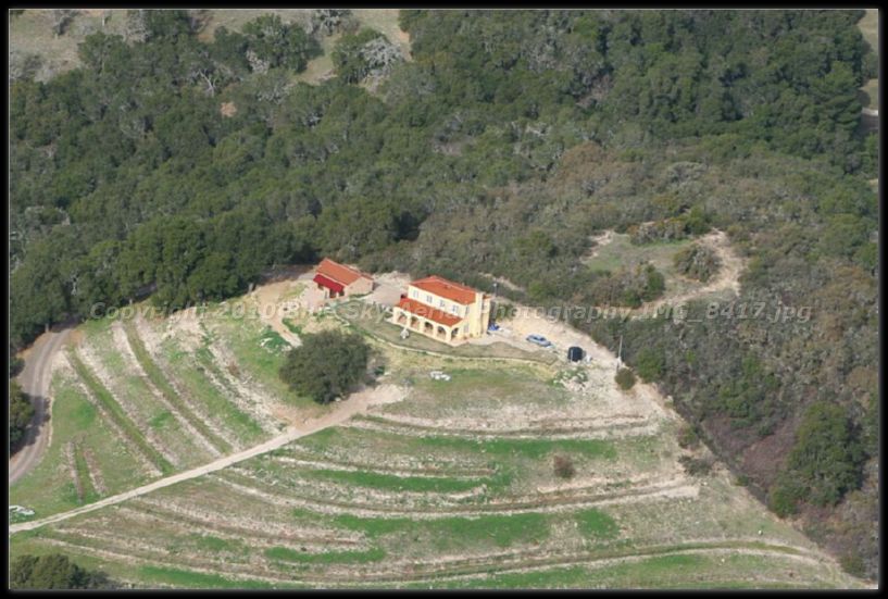 IMG_8417.jpg