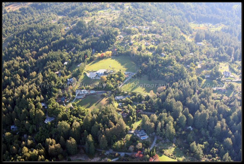 IMG_7979.jpg